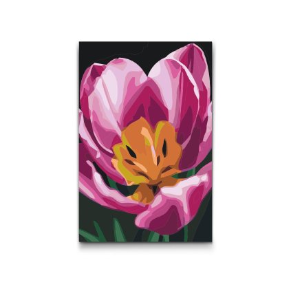 M2_Maľovanie_podľa_čísiel_-_Kvet_tulipánu