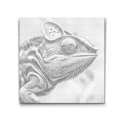 M2_Bodkovanie_-_Chameleón_v_odtieňoch_ružovej