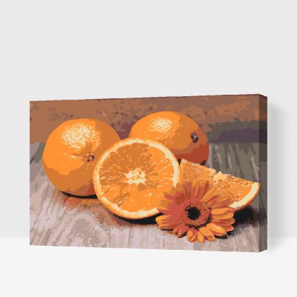 Maľovanie podľa čísiel - Citrusové plody, pomaranč
