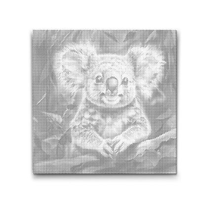 M2_Bodkovanie_-_Veselá_koala_2