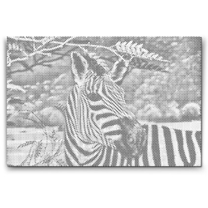Bodkovanie_Volne_zijuca_zebra_M2
