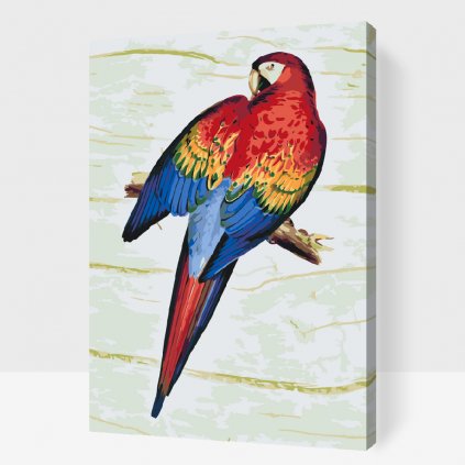 Maľovanie podľa čísiel - Vintage papagáj 2