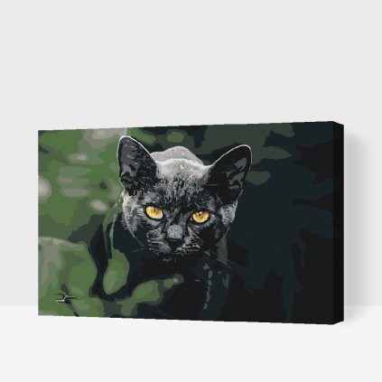Maľovanie podľa čísiel - Čierna mačka