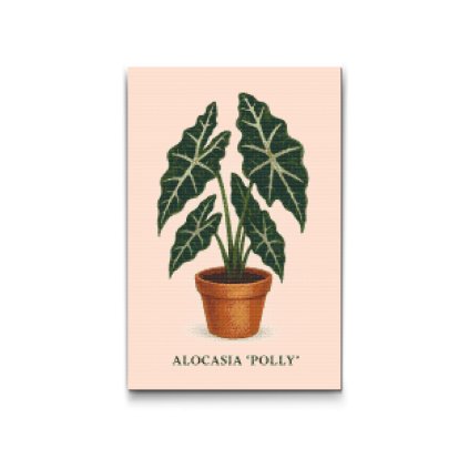 Diamantove_malovanie_Alokazia_Polly_M2