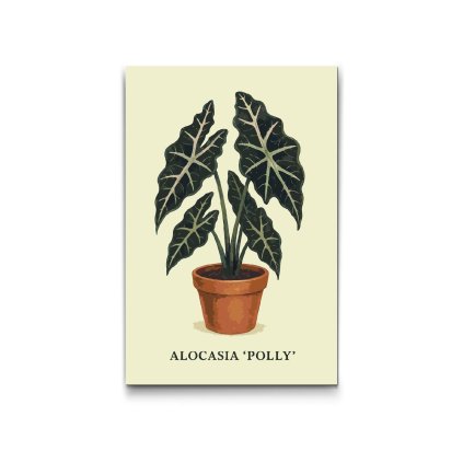 Malovanie_podla_cisiel_Alokazia_Polly_M2
