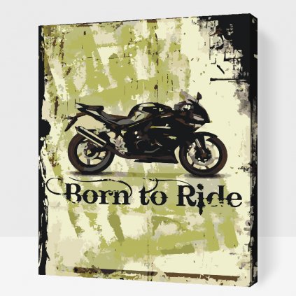 Maľovanie podľa čísiel - Born to Ride
