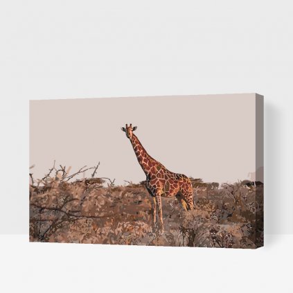 Maľovanie podľa čísiel - Žirafa vo voľnej prírode
