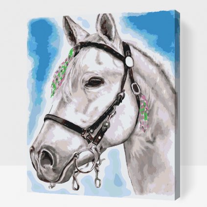 Maľovanie podľa čísiel - Biely koník