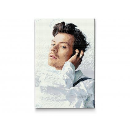 Diamantovanie podľa čísiel - Harry Styles 6