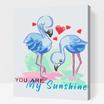 Maľovanie podľa čísiel - You are my Sunshine