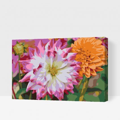 Maľovanie podľa čísiel - Kvet Dahlia