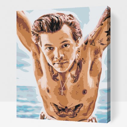 Maľovanie podľa čísiel - Harry Styles 1