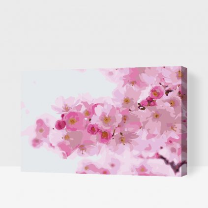 Maľovanie podľa čísiel - Kvitnúca čerešňa