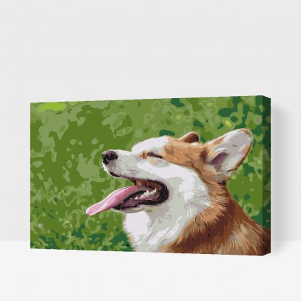 Maľovanie podľa čísiel - Corgi