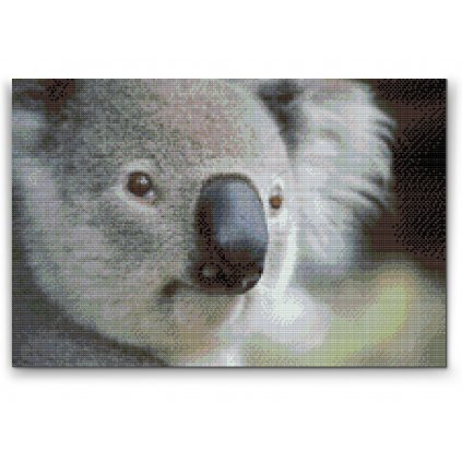Diamantovanie podľa čísiel - Koala