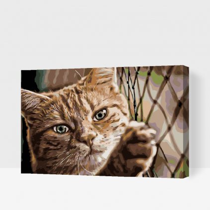 Maľovanie podľa čísiel - Mačka pri plote