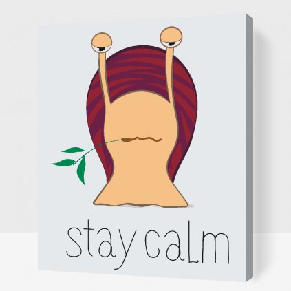 Maľovanie podľa čísiel - Stay calm slimák