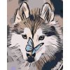 Maľovanie podľa čísiel - Motýľ a husky