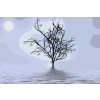 Maľovanie podľa čísiel - Strom v hmle