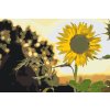 Maľovanie podľa čísiel - Slnečnica na lúke