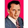 Maľovanie podľa čísiel - Frank Sinatra