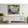Diamantovanie podľa čísiel - Červená panda
