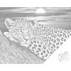 Bodkovanie - Leopard pri západe slnka
