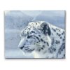 Diamantovanie podľa čísiel - Biely leopard