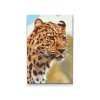 Diamantovanie podľa čísiel - Lovecký pohlaď leoparda