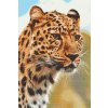 Diamantovanie podľa čísiel - Lovecký pohlaď leoparda