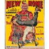 Maľovanie podľa čísiel - New home