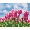 Maľovanie podľa čísiel - Ružové tulipány