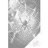 Tečkování - Pavouk v síti