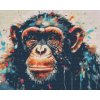 Diamantové malování - Opice s malovaným pozadím
