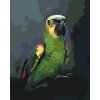Maľovanie podľa čísiel - Papagáj Amazoňan