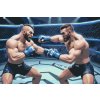 M11_Maľovanie_podľa_čísiel_-_MMA_zápasníci