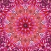 Maľovanie podľa čísiel - Mandala9
