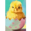 M11_Diamantové_maľovanie_-_Veľkonočné_kuriatko_v_škrupinke