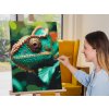 Malovanie_podla_cisiel_Oko_chameleona_M9