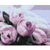 Maľovanie podľa čísiel - Fialové tulipány na stole