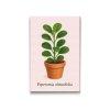Diamantove_malovanie_Peperomia_tupolista_M2