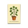 Diamantove_malovanie_Penizkovka_Pilea_peperomioides_M2