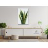 Malovanie_podla_cisiel_Sansevieria_Svokrin_jazyk_M3
