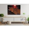 Diamantovanie podľa čísiel - Leopard