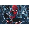 Maľovanie podľa čísiel - Spiderman v akcii