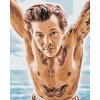 Maľovanie podľa čísiel - Harry Styles 1