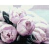Diamantovanie podľa čísiel - Fialové tulipány na stole