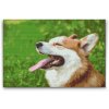 Diamantovanie podľa čísiel - Corgi