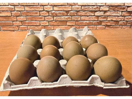 olivova vejce shoptet