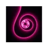 ledky